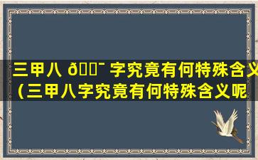 三甲八 🐯 字究竟有何特殊含义（三甲八字究竟有何特殊含义呢 🦈 ）